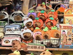 -酷乐潮玩(大悦城店)