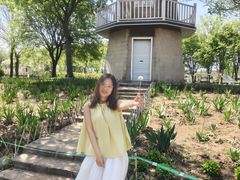 -莱阳濯村樱花园