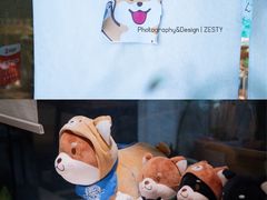 -柴务处·柴犬主题狗咖