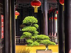 -西林禅寺