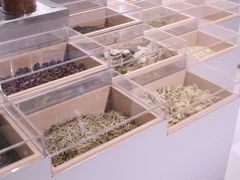 -叶子与茶(苏宁广场店)