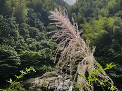 -长谷洞天