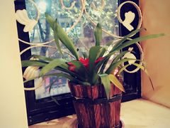 -红房子西菜馆(淮海店)