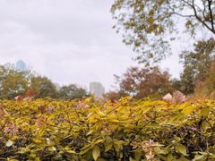 -白塘生态植物园