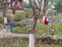 -武汉动物园