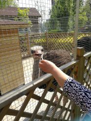 -萌宠亲子动物乐园(槐房万达店)