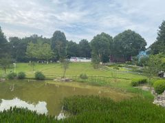 -铁山坪森林公园