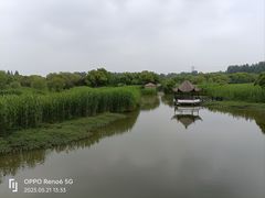 -沙家浜风景区