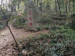 -上海佘山国家森林公园天马山园