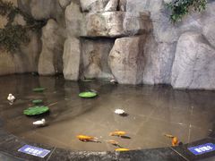 -香山湖家家宴(中山陵店)