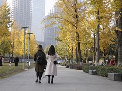 -重庆市江北嘴中央商务区中央公园