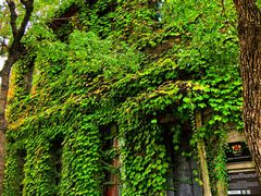 -半岛1919创意园区