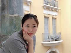 -胡志明市美术馆