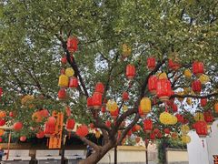 -同里国家湿地公园