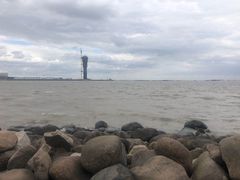 -吴淞炮台湾湿地森林公园烧烤区