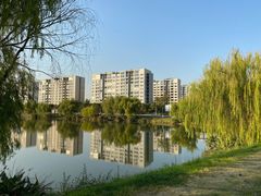 -贡湖湾湿地公园