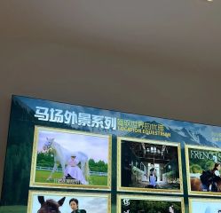 -哈贝儿童摄影(增城大润发店)
