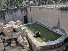 -保定市动物园