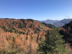 -山王坪喀斯特国家生态公园