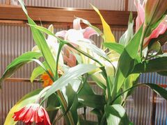 -鑫小城故事·藕汤·家常菜(台北一路总店)