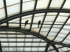 -无锡动物园·太湖欢乐园