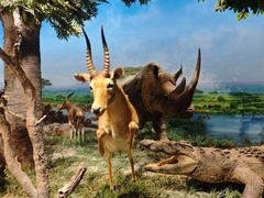 -国家自然博物馆