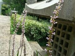 android_upload_pic-宁波九龙湖开元度假村