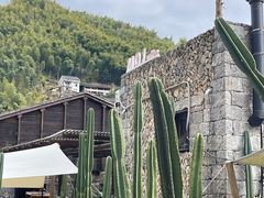 -MOJ coffee(瓯海泽雅水碓坑店)