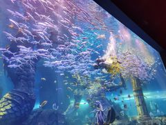 -波塞冬海底世界
