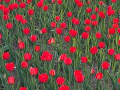 -长春公园(普阳街道)