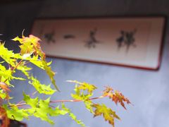 -瑞辰茶空间·商务·掼蛋·活动 (团结湖店)