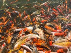 -北戴河圣蓝海洋公园