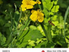 -黑龙江省森林植物园