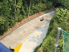 -圣淘沙天际线斜坡滑车