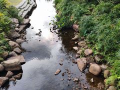 -深圳仙湖植物园