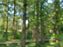 -国家植物园南园