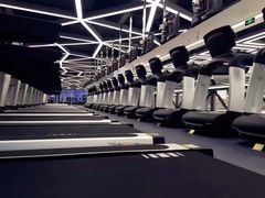 -金吉鸟健身游泳