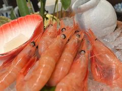 -黑松白鹿(金融街店)