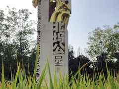 -北坞公园
