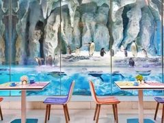 -帝企鹅自助餐厅•儿童岛•真企鹅(长隆企鹅酒店)