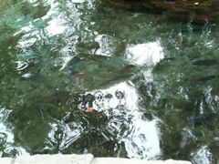 -水磨沟公园