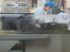 -立德动物医院·异宠·CT·鹦鹉(天河店)