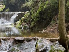 -牛背梁国家森林公园