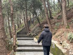 -铁山坪森林公园