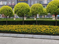-哈尔滨音乐公园