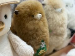 -广州白云国际机场-T1航站楼