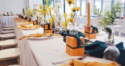 -卡卡喜糖伴手礼·商务礼宝宝礼·婚礼用品