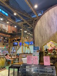 -卡通尼·Safari非洲探索乐园·生日会(金桥国际商业广场店)