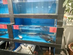 -华盛丰温州大排档(东三环南路店)