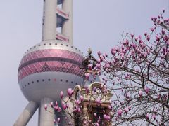 -东方明珠广播电视塔